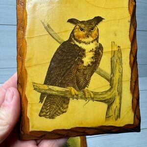 Vintage Owl Art Brown Bark Wood Framed Wall Decor Hand Signed‎ Set of 3